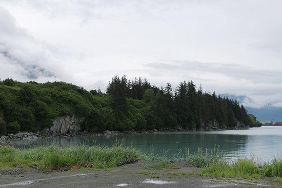 Dock Point Trail